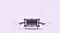 Innovative Micro Aerial Robot Powered by Dielectric Elastomer Actuators