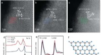 Advanced Materials for Enhanced Battery Performance: Sulfur Chemistry Innovations