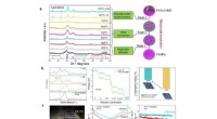 Cost-Effective PtCo Intermetallic Electrocatalyst for Proton-Exchange Membrane Fuel Cells