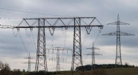 Wildlife Concerns Challenge Germany s Renewable Energy Grid Expansion