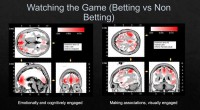 QUT Study: Sports Betting Apps and Marketing Drive Gambling Harm