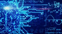 Unlocking Mathematical Mysteries: How AI Enhances Human Intuition and Creativity