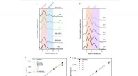 Revolutionizing OER Electrocatalysis: Double-Atom Catalyst Platform with Operando XAS Insights