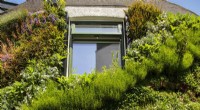University of Plymouth Study: Living Walls Reduce Building Heat Loss by Over 30%
