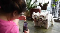 DogPhone: Scientific Device to Alleviate Separation Anxiety in Dogs
