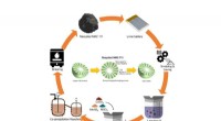 Breakthrough Recycling Method: Reclaiming Cathode Materials from Lithium Batteries for Sustainable Production