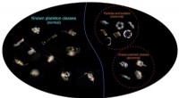Enhancing AI Classifiers for Accurate Plankton Image Sorting