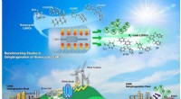 Chemical Carriers: Efficient Solutions for Hydrogen Storage in Clean Energy