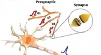 Revolutionary Dendritic Network-Enabled Artificial Neurofiber Transistors for Next-Gen AI Computing