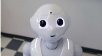 How Social Robots Enhance Persuasion by Reducing Perceived Authority