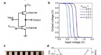 Innovative Vertical Organic Permeable Dual-Base Transistors Advance Logic Circuit Technology