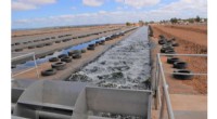 Sustainable Wastewater Recycling: Flinders University s HRAP Breakthrough in Microalgal Biomass Harvesting