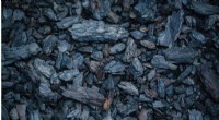 Skyrocketing Coal Prices in 2021: Implications for Global Net Zero Goals