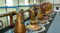 Distilleries Must Integrate Renewable Energy and Storage to Achieve Net Zero, Study Shows