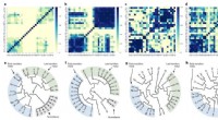 Advanced Evidence-Based System Accurately Predicts High-Entropy Alloy Formations