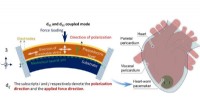 Revolutionary Battery-Free Pacemaker Powered by Heart s Energy