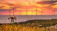 Global Offshore Wind Turbine Count May Reach 30,000 by 2030, Driving Demand for Innovative Ocean Engineering Solutions