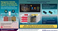 3D Carbon Nanosheets for Next-Gen Li-ion Batteries: Enhanced Performance & Conductivity
