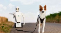 Robots as Service Animals: Enhancing Pet Care & Companion Support