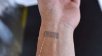 Bio-Inspired Strain Sensors: Wearable Technology with Enhanced Sensitivity
