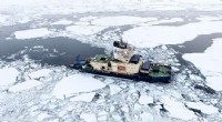 AI-Driven Sea Ice Identification: Enhancing Arctic Maritime Safety