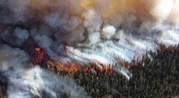 Innovative Wildfire Detection: How Drones and Ground Sensors Enhance Firefighter Response