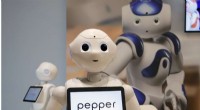 SoftBank Denies Discontinuation of Pepper Robot, Confirms Business Continuity