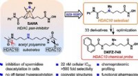 Breakthrough: First Specific Inhibitor for HDAC10 Enzyme Developed by DKFZ to Study Disease Links