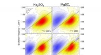 Study Reveals Magnesium Ions Slow Water Dynamics at Microscopic Scales