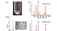 Discovery of a Novel Zero-Valent Sulfur Production Pathway in Deep-Sea Bacterium