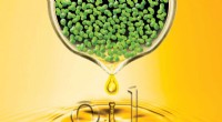 Engineered Duckweed: A Key to Sustainable Biofuel and Bioproduct Oils