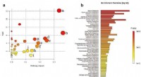 Ginsenoside CK: A Neuroprotective Shield Against Oxidative Stress-Induced Damage