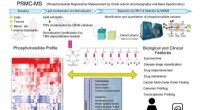 Advanced Mass Spectrometry for Deep Phosphoinositide Profiling and Medical Insights