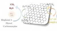 Mechanistic Insights: How Single-Atom Catalysts Degrade Organic Pollutants