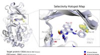 Hotspot Mapping: Accelerating Early Drug Design Through Empirical Analysis