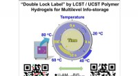 Innovative Double-Lock Encryption Using Thermoresponsive Polymer Hydrogels