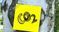 Efficient Nature-Inspired CO2 Conversion to Clean Fuels Without Waste