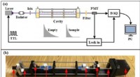 Novel Highly Sensitive Detector Enables Rapid Nitrogen Dioxide Detection