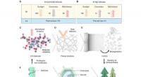 Radiative Cooling Innovation: Passive Ice Protection from Sunlight for Food Storage and Glacial Conservation