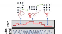 Sound-Based Insights: Musicians and Chemists Collaborate to Decode Protein Folding for Scientific Advancement