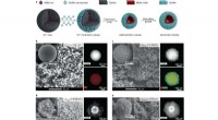 Advanced Double-Shelled Hollow Spheres as High-Efficiency Tandem Catalysts for Syngas Conversion