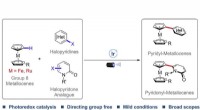Photo-Induced Catalytic C-H Heteroarylation of Metallocenes: A Novel Functionalization Strategy