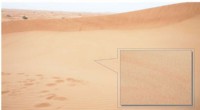 Sand-Based Oil-Water Separation: Essential Methods for Spill Prevention and Environmental Protection