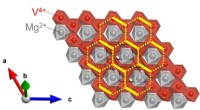 Ion Pairings Transform Honeycomb Crystal States in MgVO3