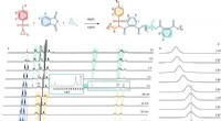 Breakthrough Catalyst Synthesizes Diblock Dialternating Terpolymers from Three Monomers in One Step