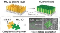 Hetero-Lattice Intergrown MOF Membranes: Advancing Polyol Upgrading in Industrial Separation