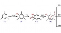 O2-Bridged Bicyclic Compounds: Central to Secondary Organic Aerosol Formation from VOCs