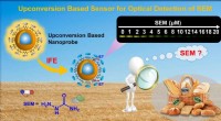 Revolutionary Upconversion Nanoparticle Sensors for Ultra-Sensitive Detection of Semicarbazide and Heparin