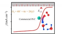 Big Data Meta-Analysis of Commercial Pt/C Sets Standard for ORR Electrocatalyst Evaluation