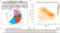Study Reveals How Aromatic Residues Drive Phase Separation in hnRNPA1 Proteins